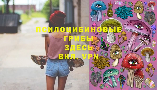 сатива Богородск
