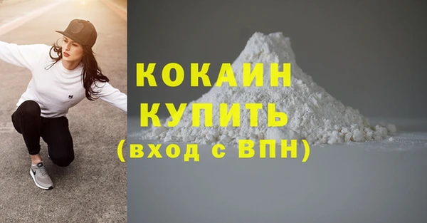 PSILOCYBIN Бородино