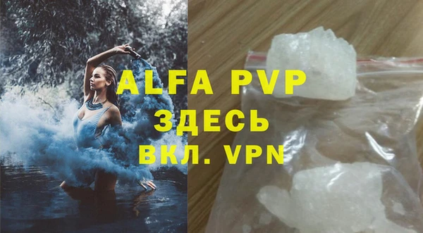 PSILOCYBIN Бородино