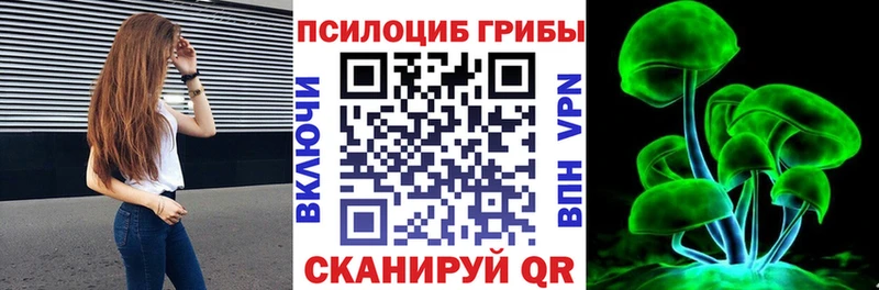 продажа наркотиков  Кедровый  Галлюциногенные грибы Psilocybine cubensis 